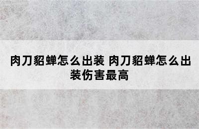 肉刀貂蝉怎么出装 肉刀貂蝉怎么出装伤害最高